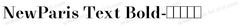 NewParis Text Bold字体转换